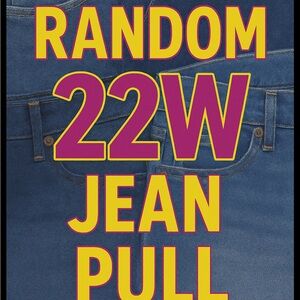 22W RANDOM JEAN PULL